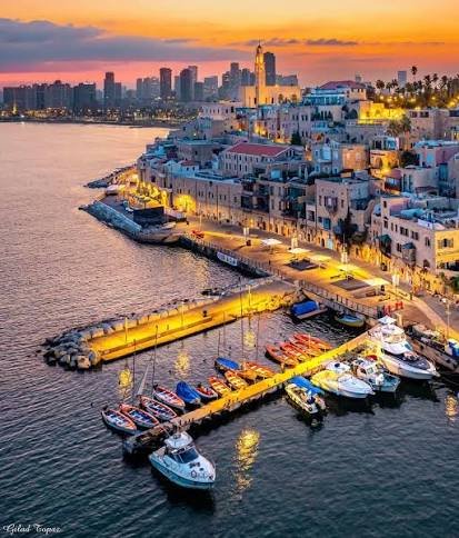 Jaffa’s old port at dusk, boats moored below the lit skyline